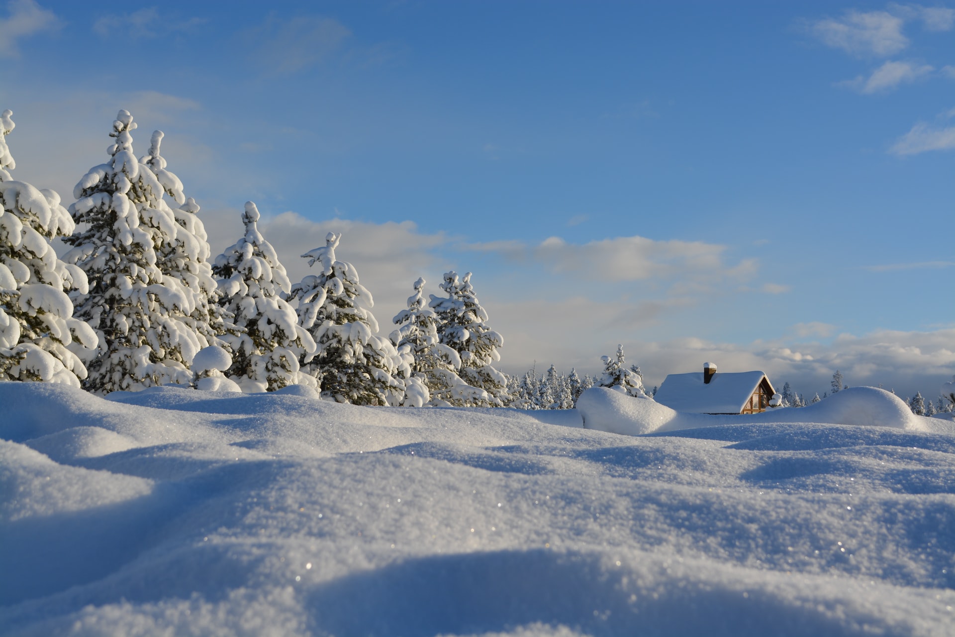 Winterlandschaft